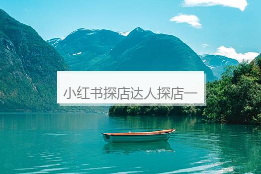 小红书探店达人探店一天挣多少钱？看小红象一天挣多少钱
