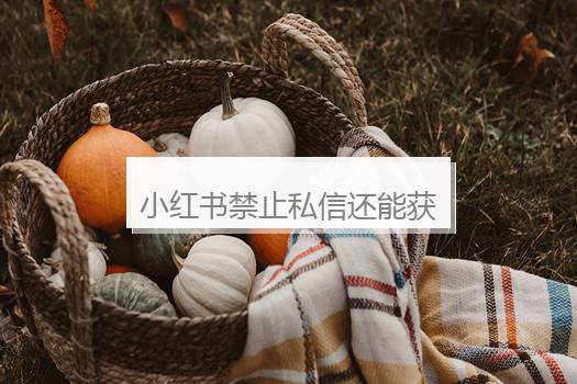小红书禁止私信还能获悉吗？小红书禁言能获悉私信吗