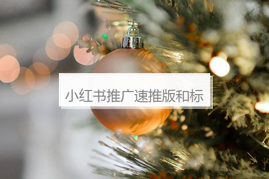 小红书推广速推版和标准版哪个好？小红书推广怎么做