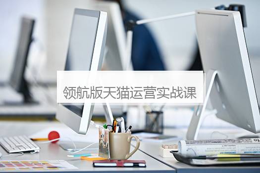 领航版天猫运营实战课程25.6.4版