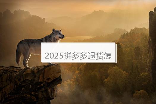 2025拼多多退货怎么寄回去给商家？官方退货在哪里打开