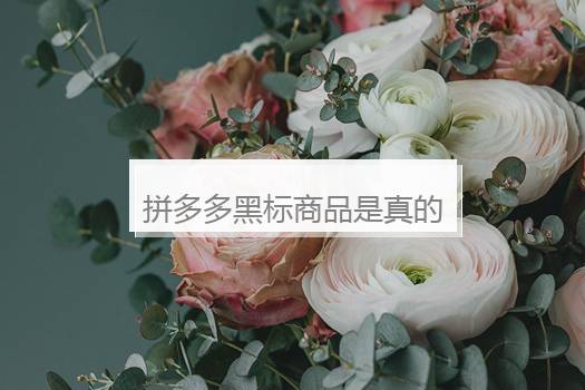 拼多多黑标商品是真的吗？拼多多黑标商品有什么条件？