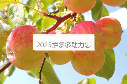 2025拼多多助力怎么能高效成功？怎么助力？