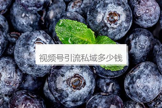 视频号引流私域多少钱一个？微信引流一个人多少钱