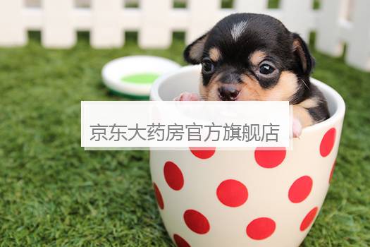 京东大药房官方旗舰店是正品吗？京东十大正规药店