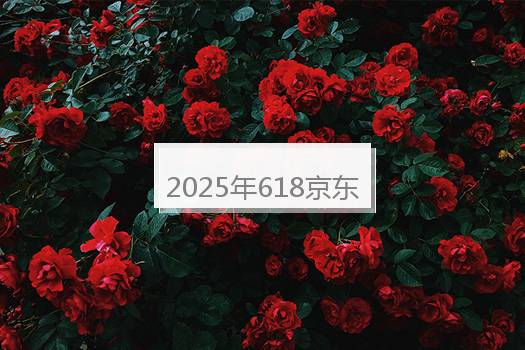 2025年618京东能打折多少？2025年618京东打折是真的吗？