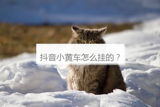 抖音小黄车怎么挂的？抖音小黄车怎么挂自己的货