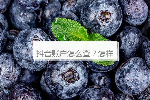 抖音账户怎么查？怎样查找某个人抖音账号？